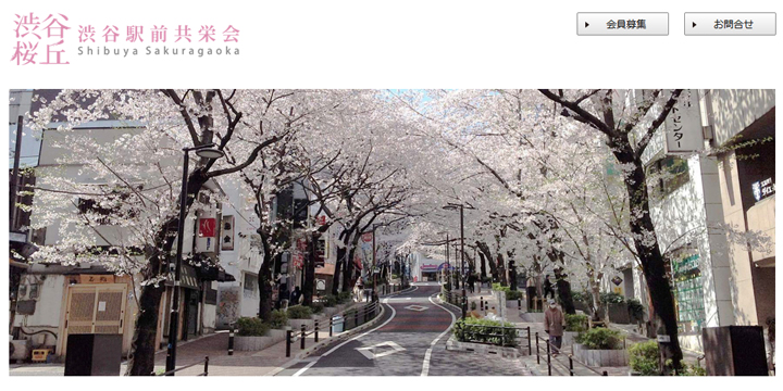 勉強の後は夜桜を満喫！今週末は渋谷桜丘町「さくらまつり」へ行こう